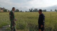 IMG-20260724-WA0017